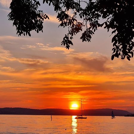 Studio Bodensee Daisendorf Екстериор снимка