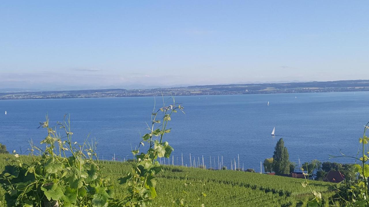 Studio Bodensee Daisendorf Екстериор снимка